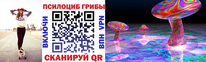 Псилоцибиновые грибы Magic Shrooms  где найти   MEGA рабочий сайт  Вяземский 